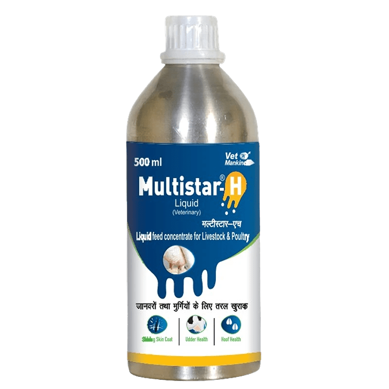MULTISTAR H LIQUID