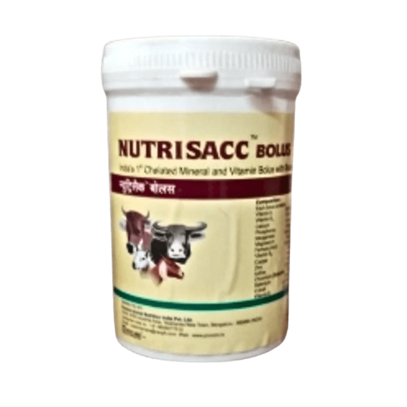 NUTRISACC BOLUS