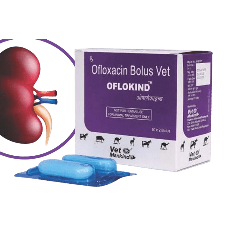 OFLOKIND Bolus