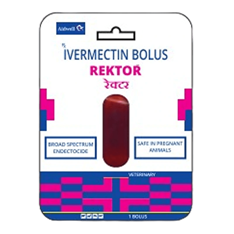 REKTOR BOLUS