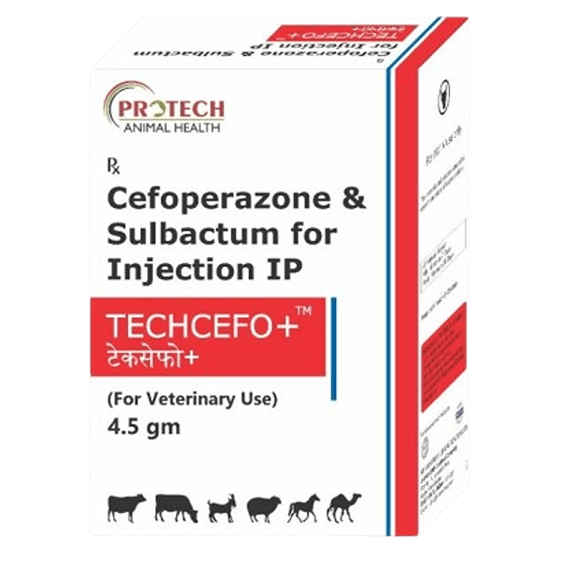Techcefo+ (Plus) Injection