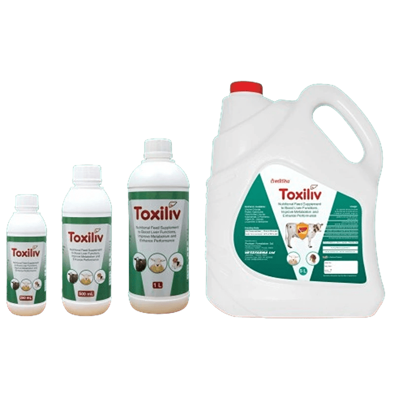 Toxiliv LIQUID