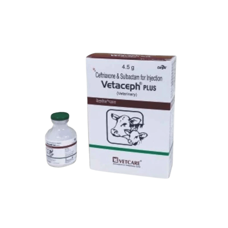 Vetaceph Plus Injection