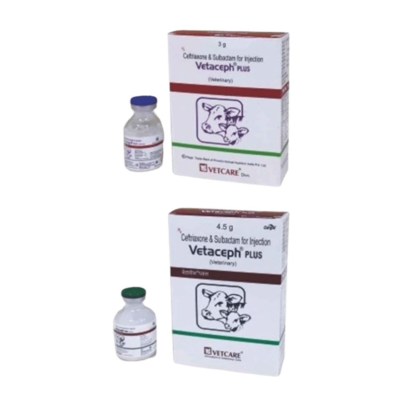 Vetaceph Plus Injection