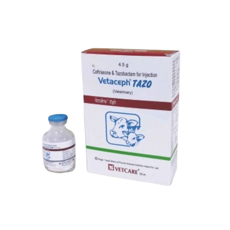 Vetaceph Tazo Injection