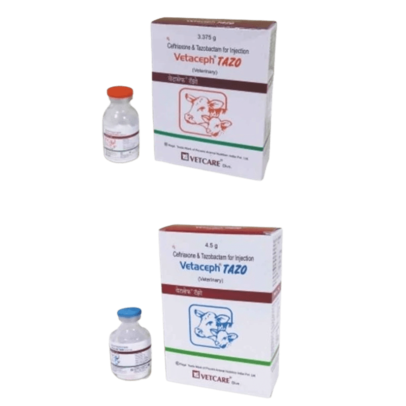 Vetaceph Tazo Injection