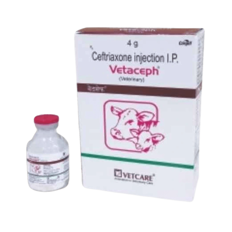 Vetaceph injection