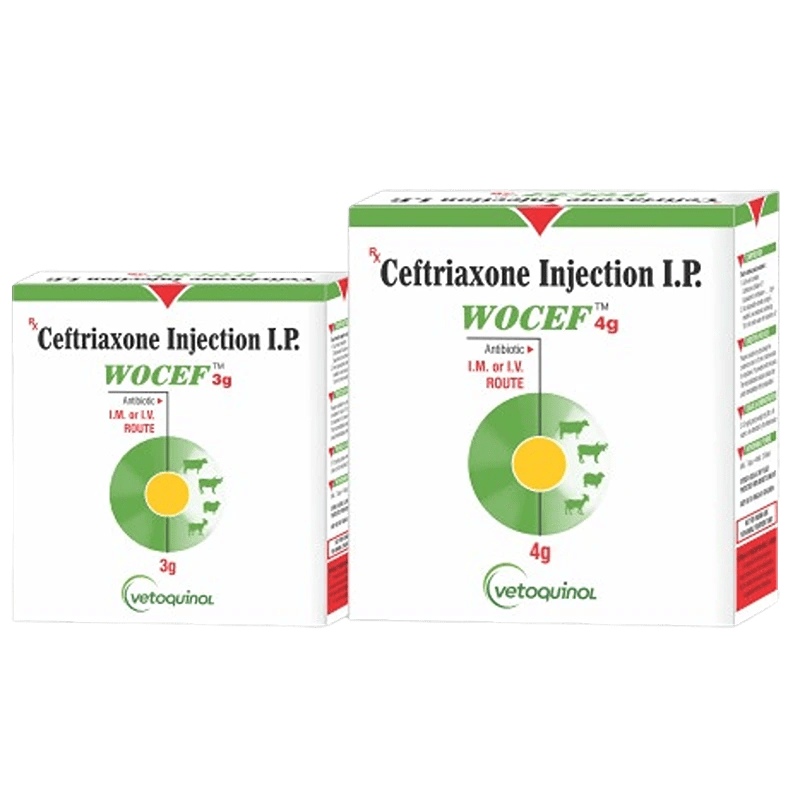 Wocef Injection