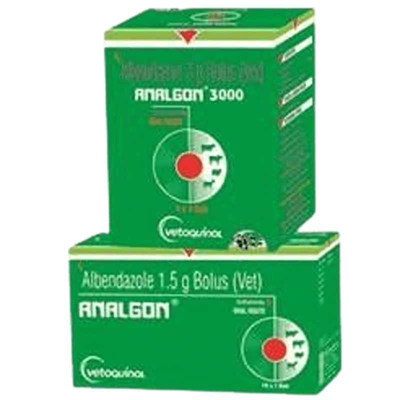 Analgon Bolus