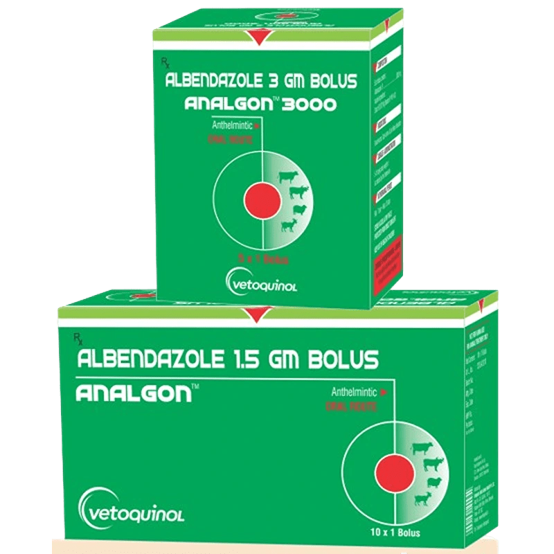 Analgon Bolus