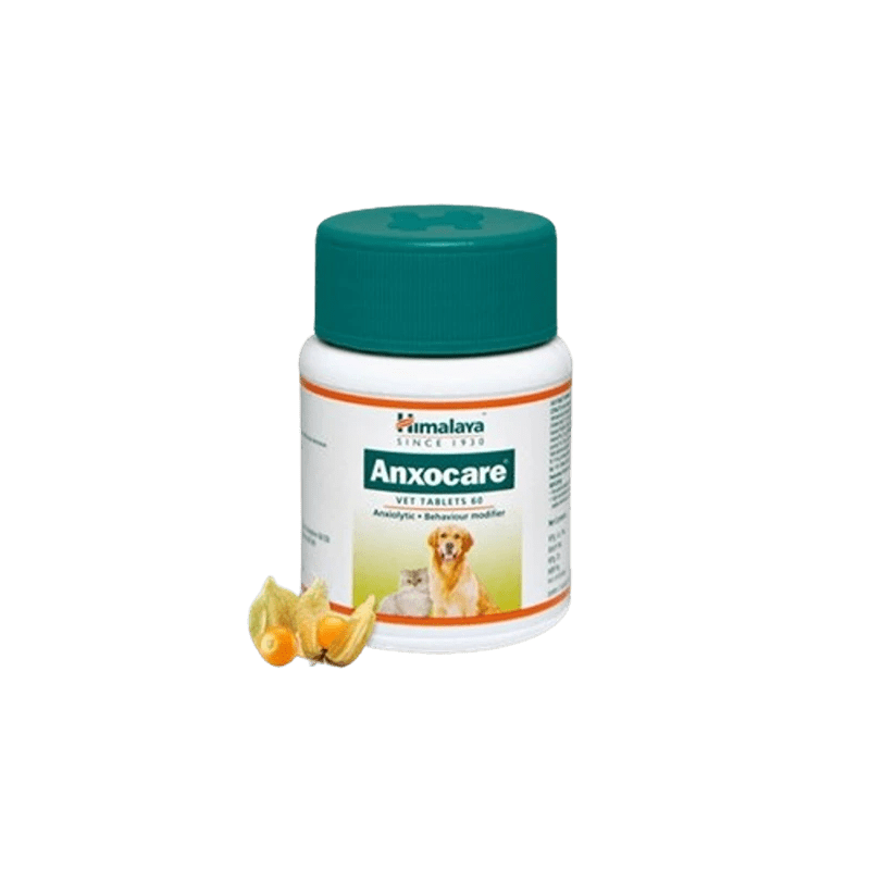 Anxocare
