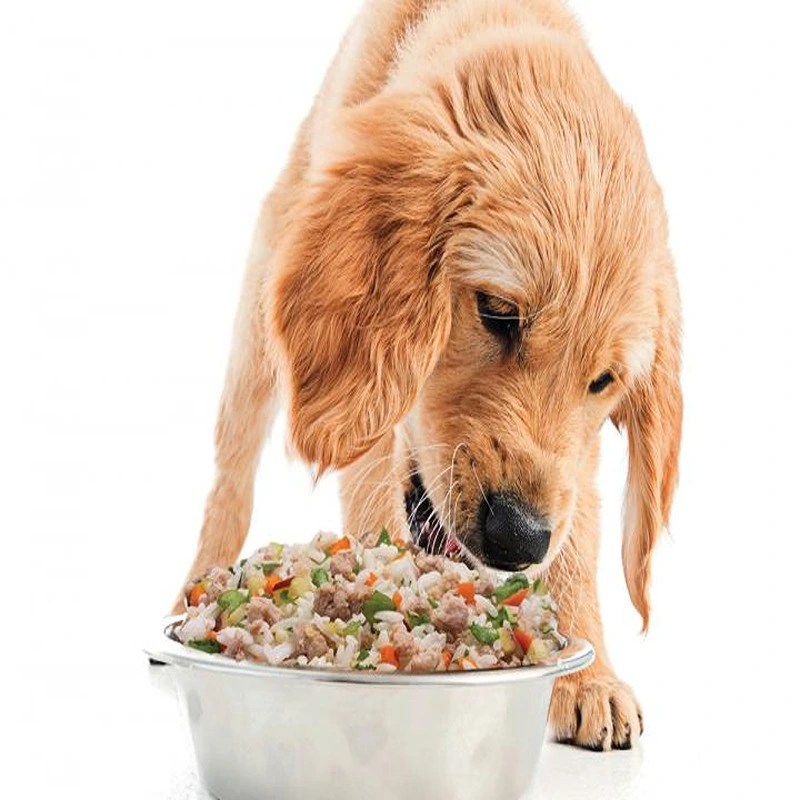 DOG FOOD