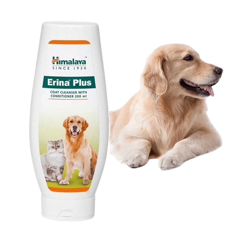 Erina Plus
