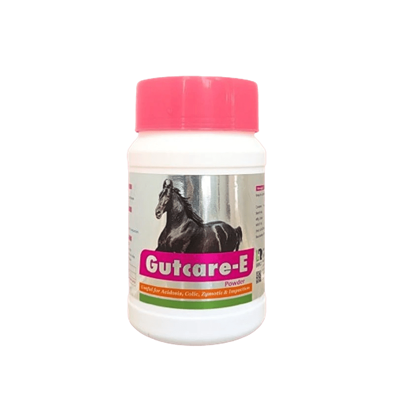 Gutcare-E Powder