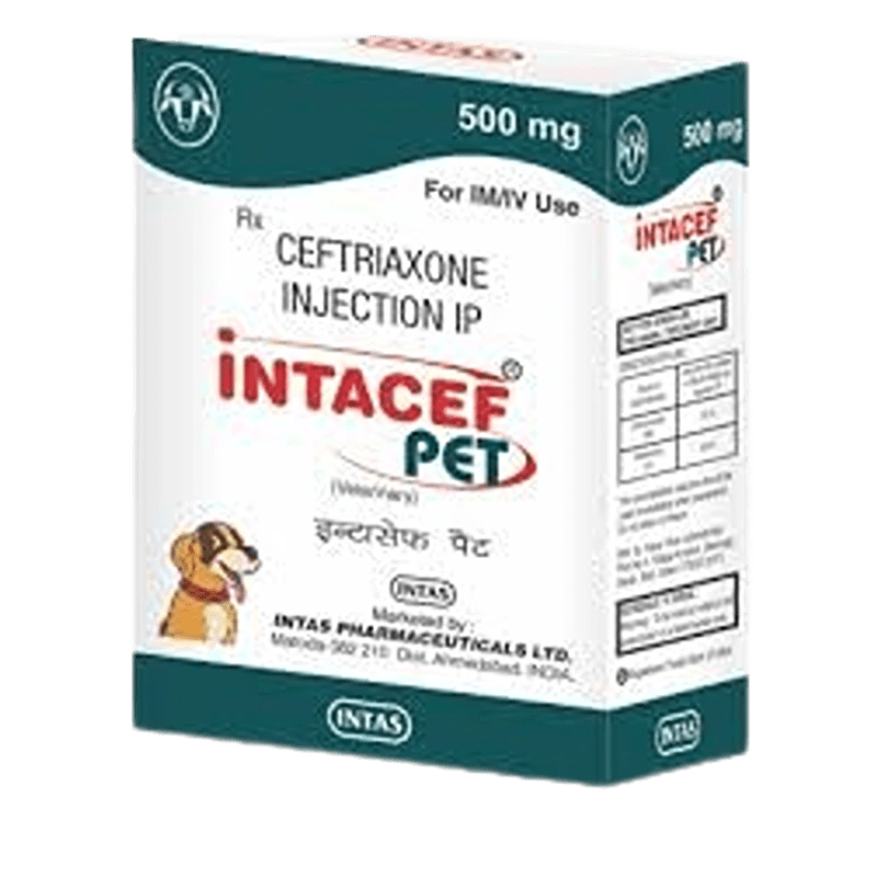 Intacef Pet