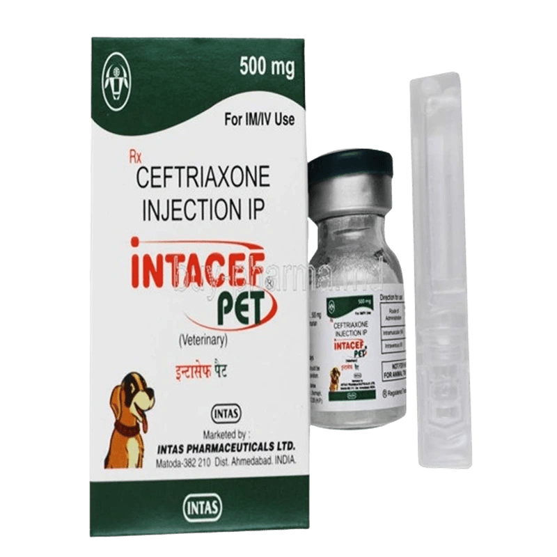 Intacef Pet