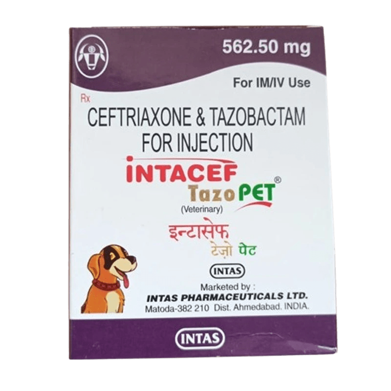 Intacef Tazo Pet