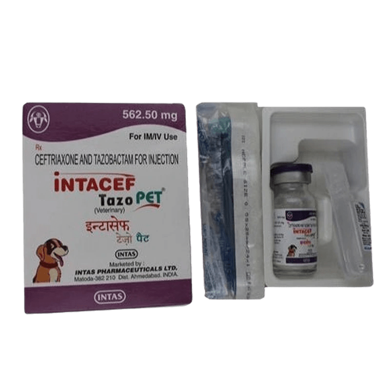 Intacef Tazo Pet