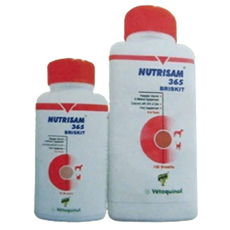 NUTRISAM 365 BRISKIT