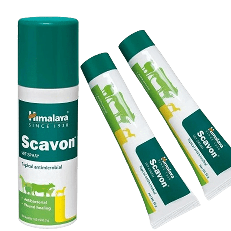 Scavon VET