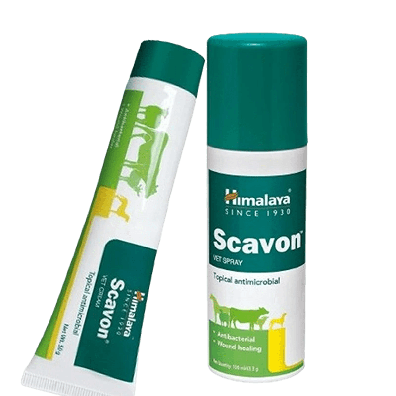 Scavon VET