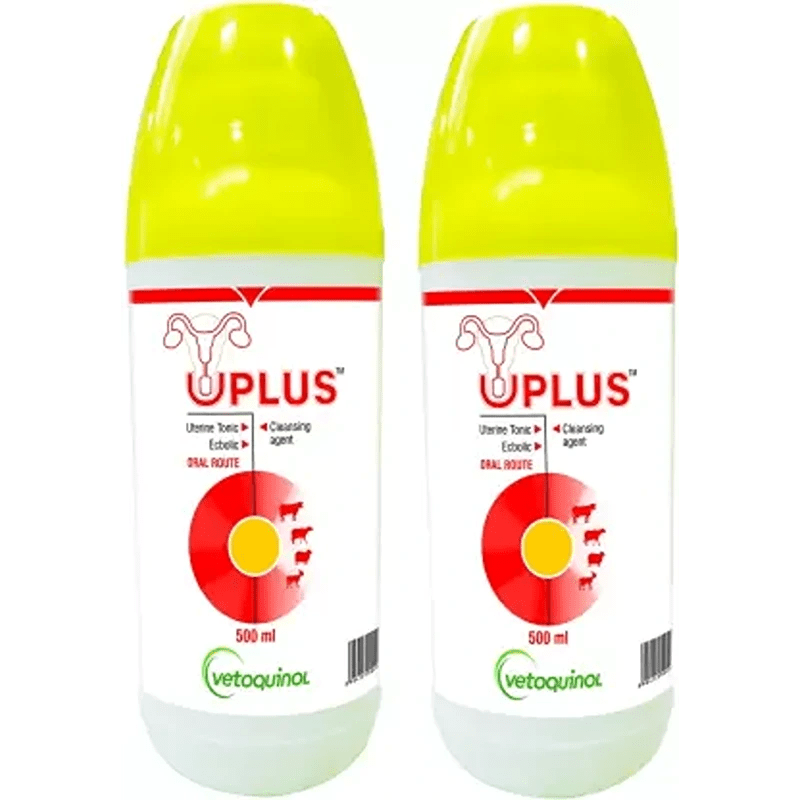 UPLUS