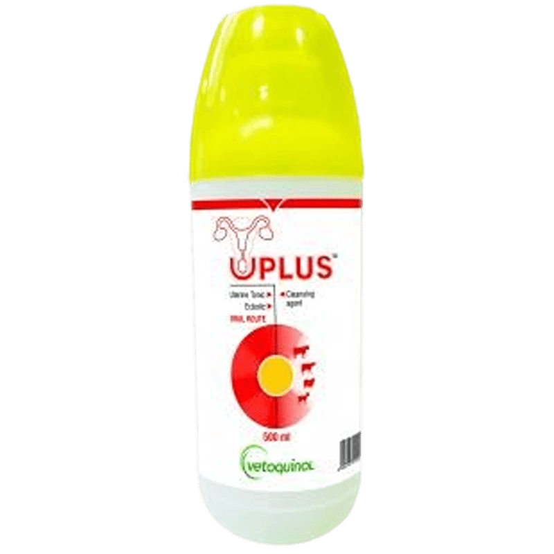 UPLUS