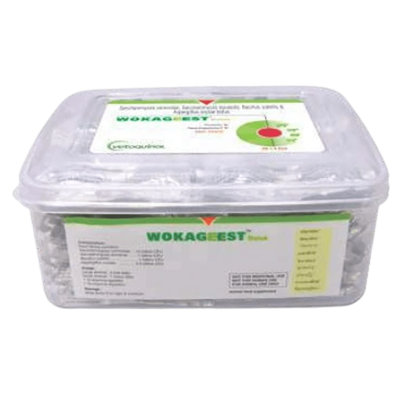 WOKAGEEST