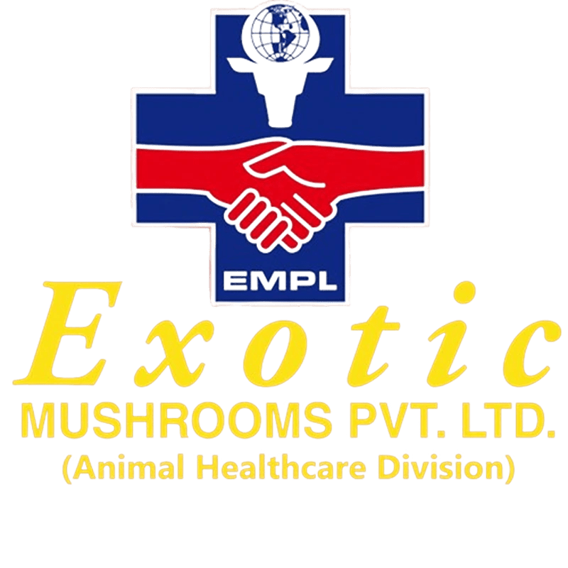 Exotic Mushrooms