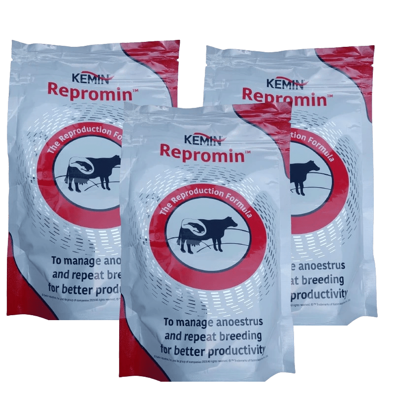 ReproMIN Dry
