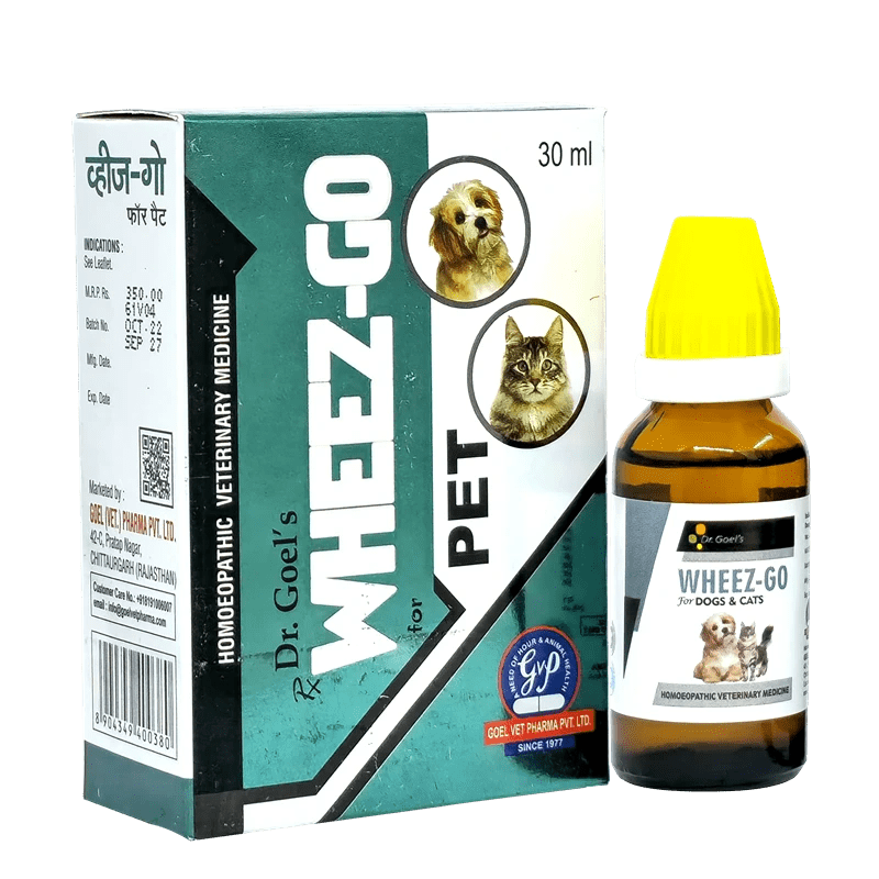 WHEEZ-GO