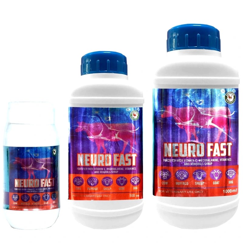 NEURO FAST