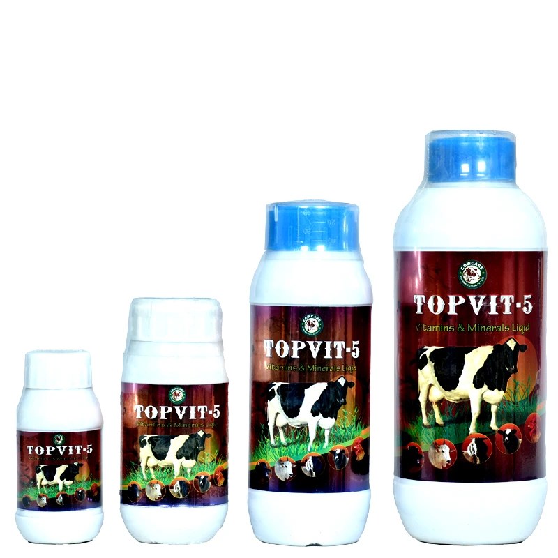 TOPVIT-5