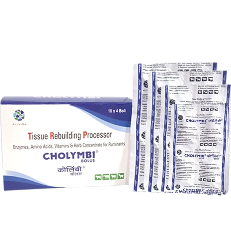 Cholymbi Bolus