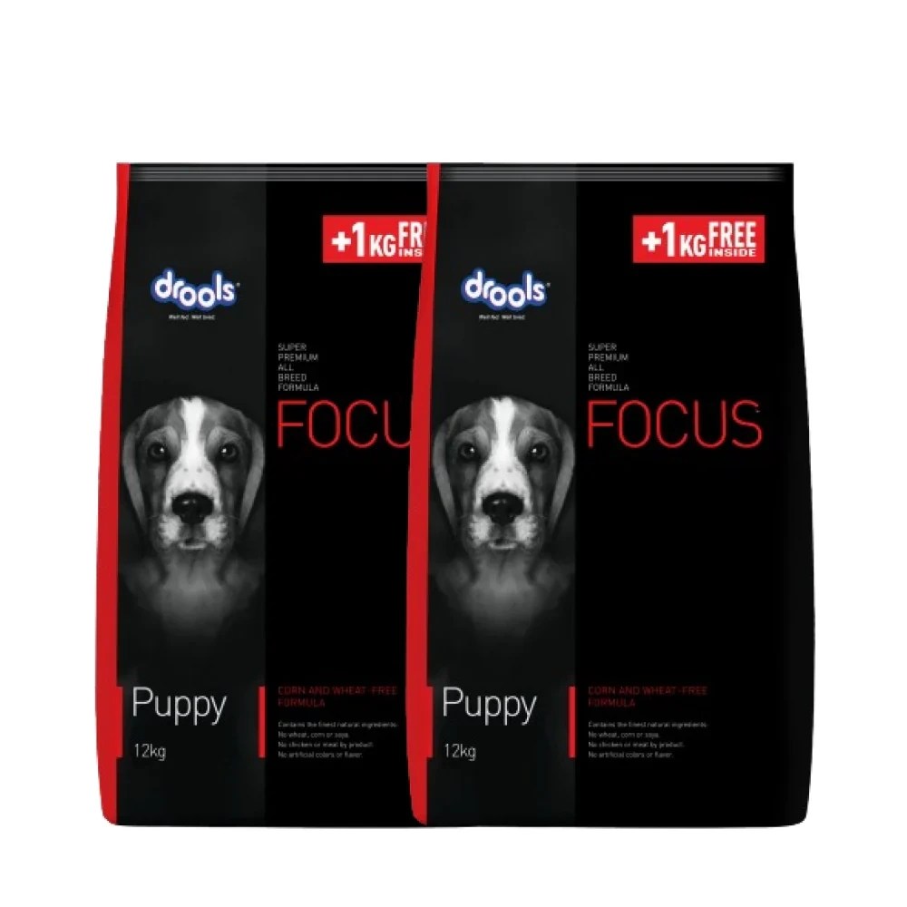Drools Focus Puppy