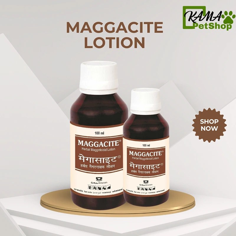 Maggacite Lotion