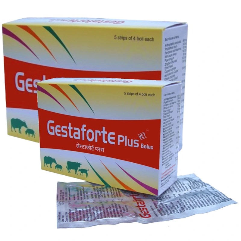 Gestaforte Plus