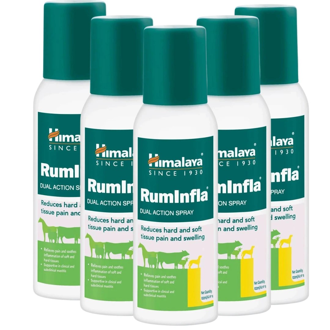RumInfla