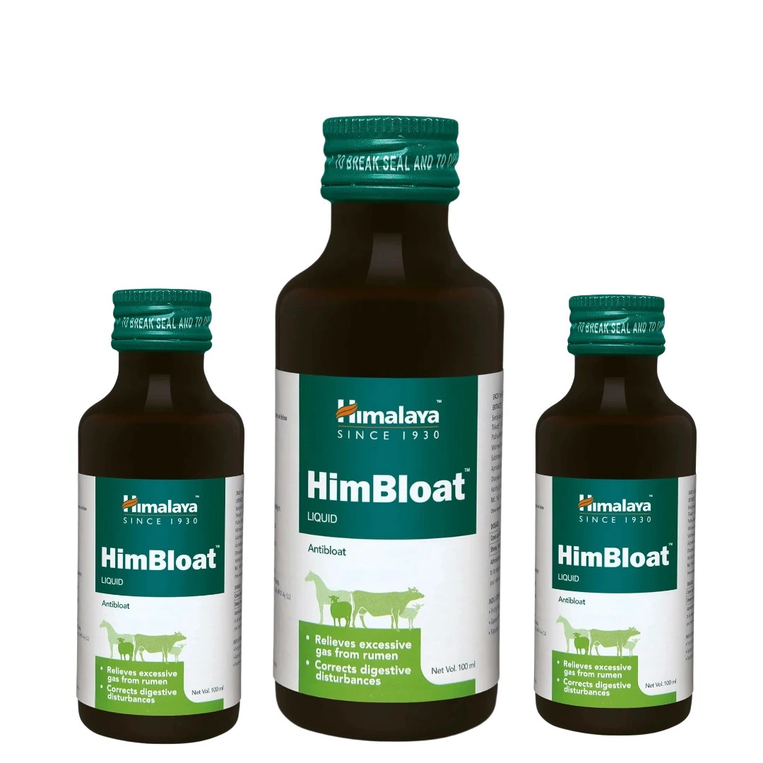 HimBloat