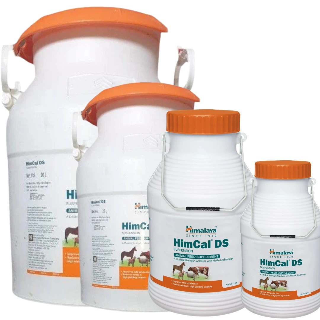 HimCal DS