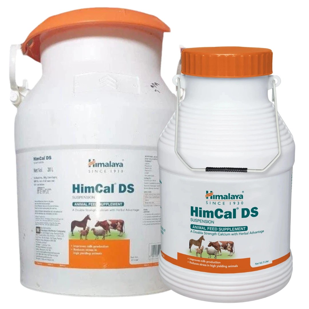 HimCal DS