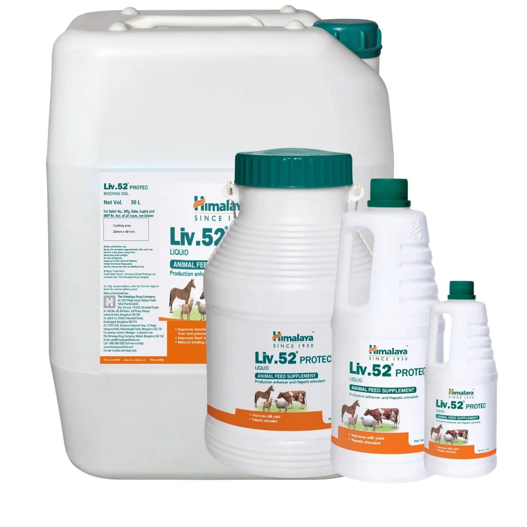 Liv.52 PROTEC Liquid