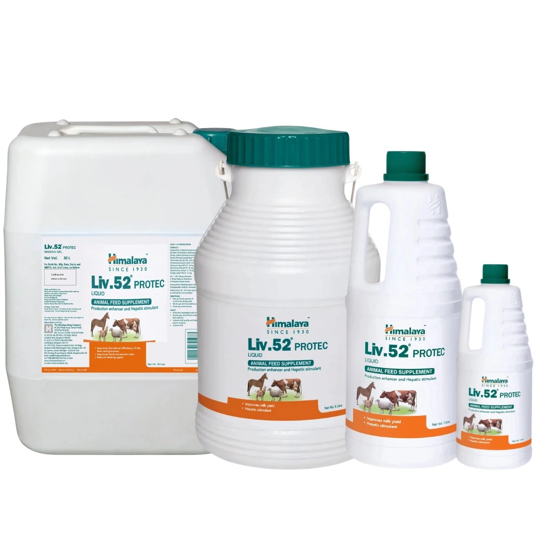 Liv.52 PROTEC Liquid