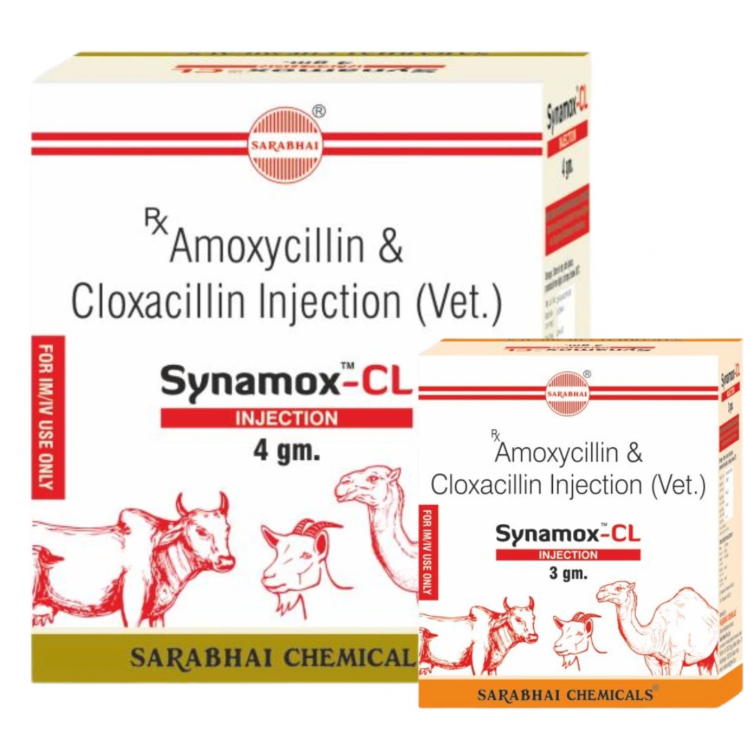 Synamox-CL