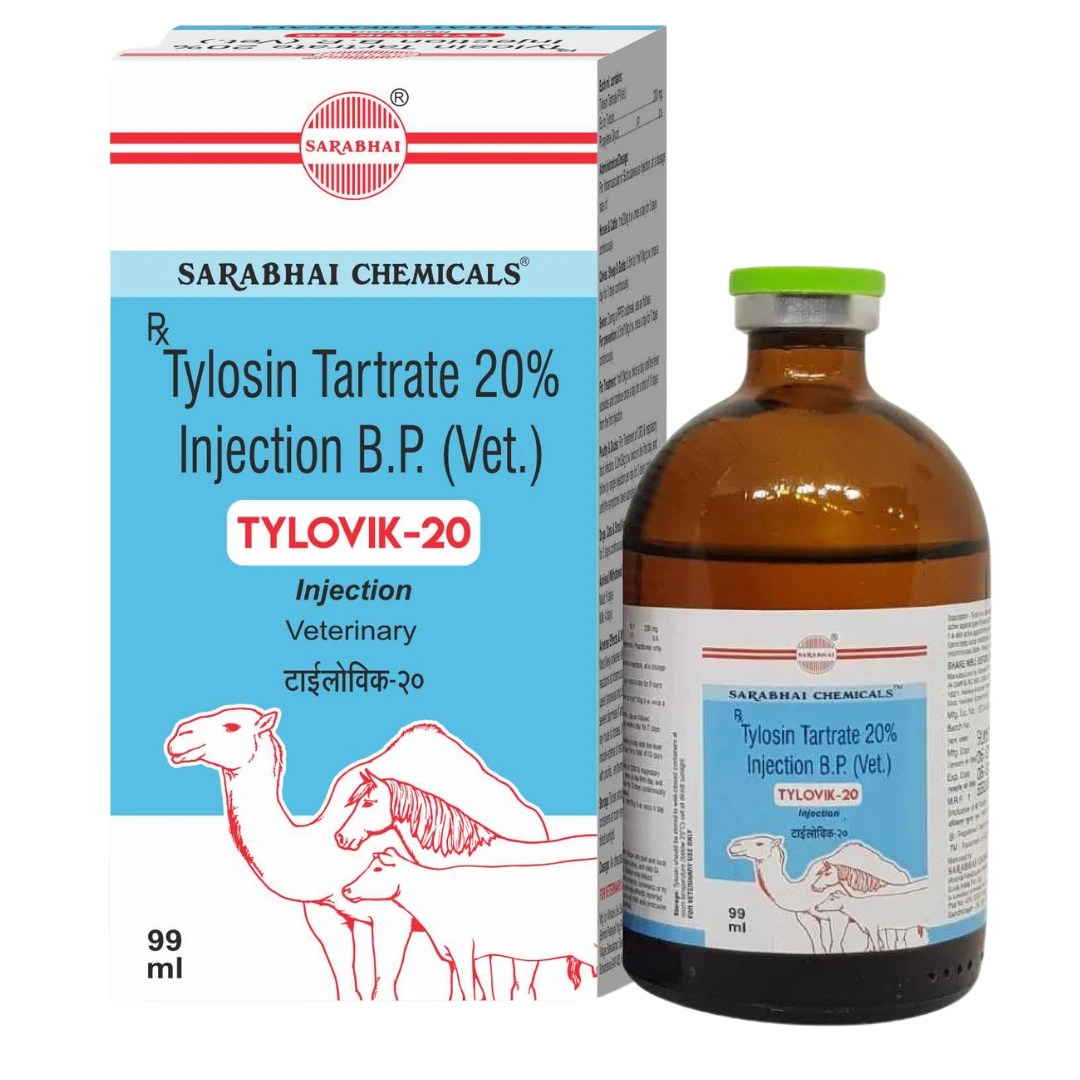 Tylovik