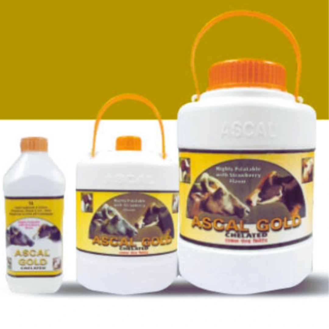 ASCAL GOLD
