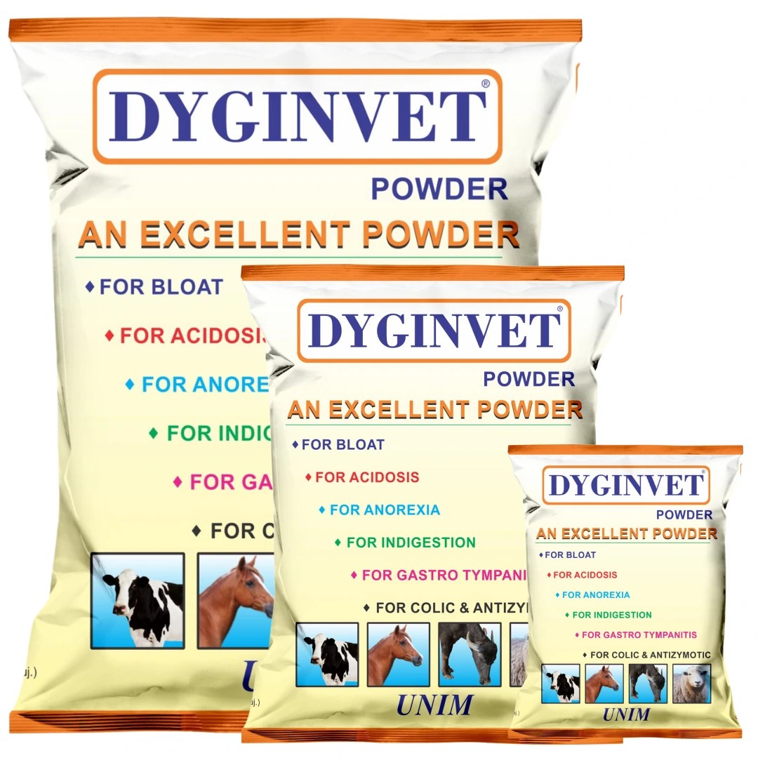 Dyginvet