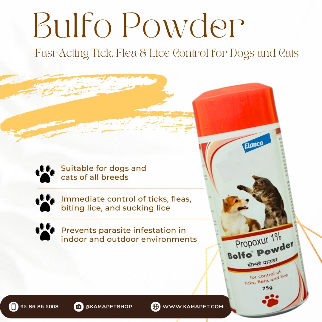 Bulfo