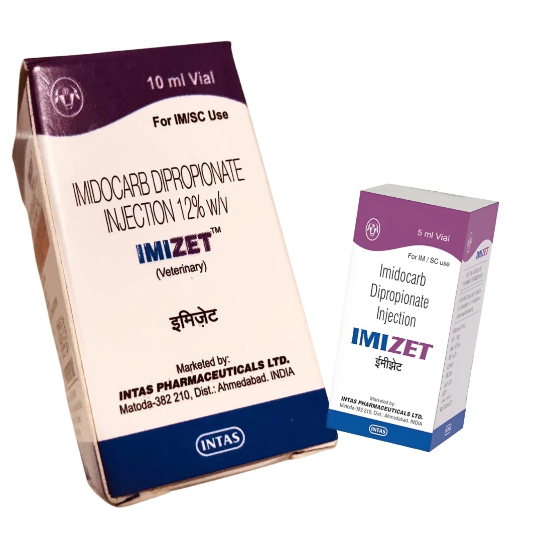 IMIZET