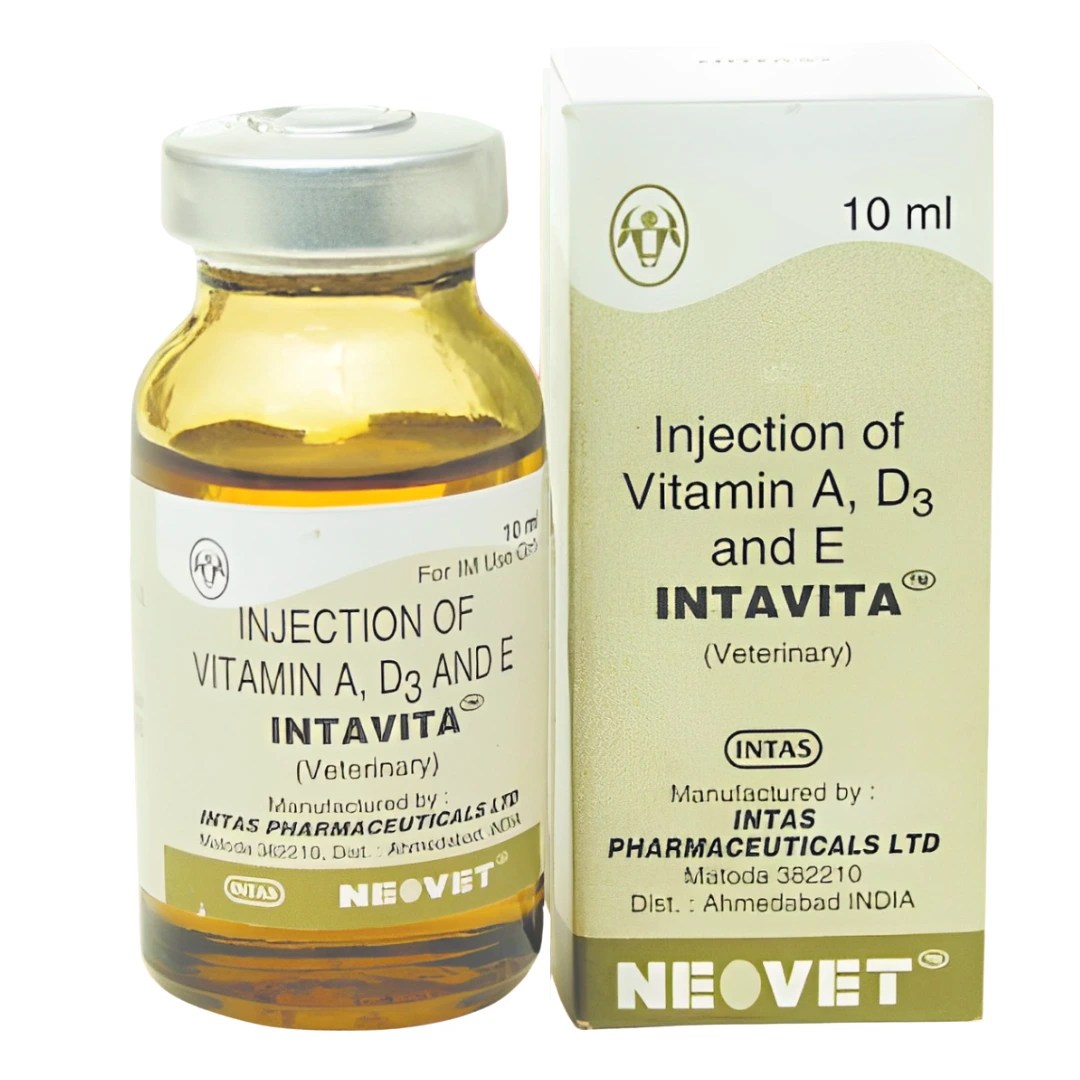 INTAVITA